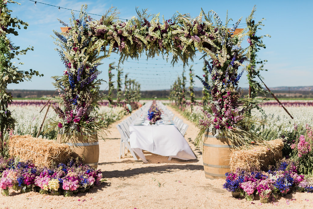 A long dinner table set up in a stock field with the entrance being a large arch decorated with stock flowers and greens.