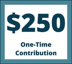 $100 One-Time Contribution