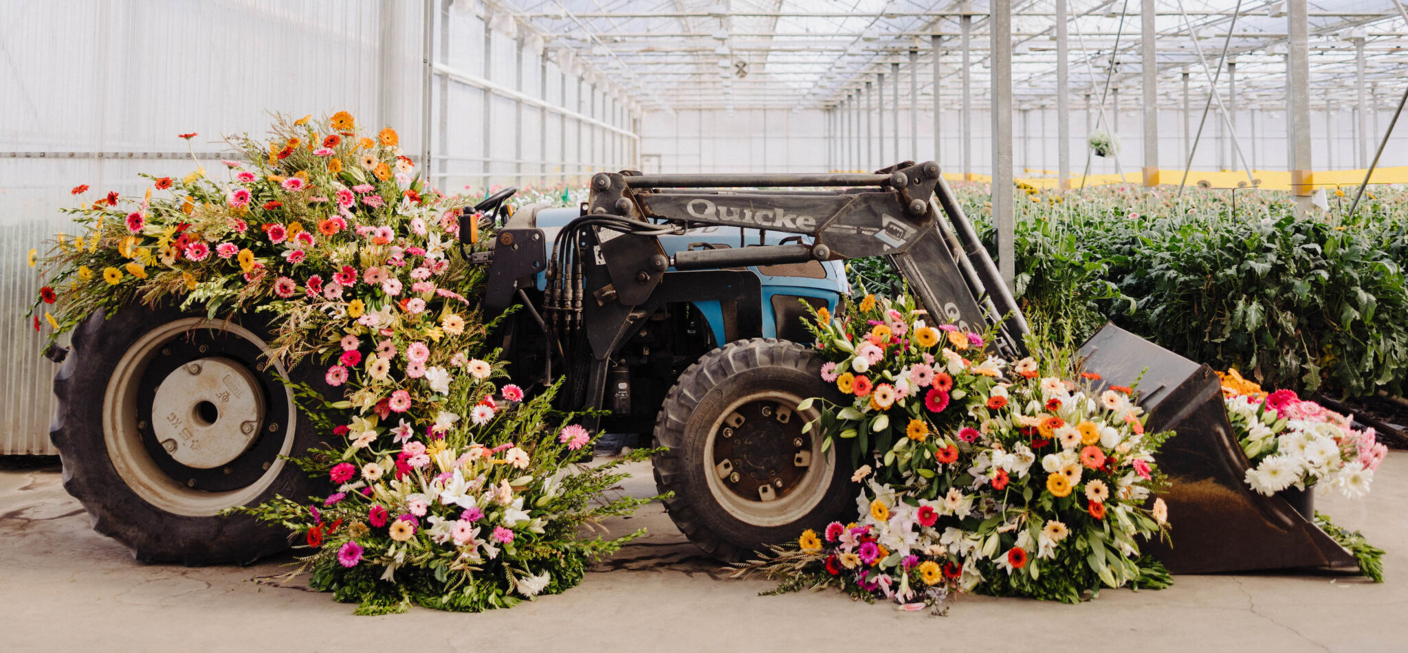 Home American Grown Flowers and Foliage