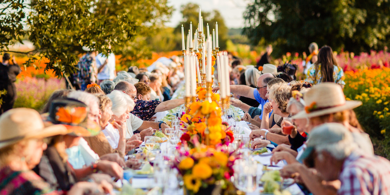 Long dinner table set with candelabras, marigolds and guests, in a field of marigolds
