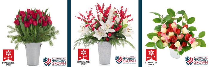 collection of 3 different arrangements