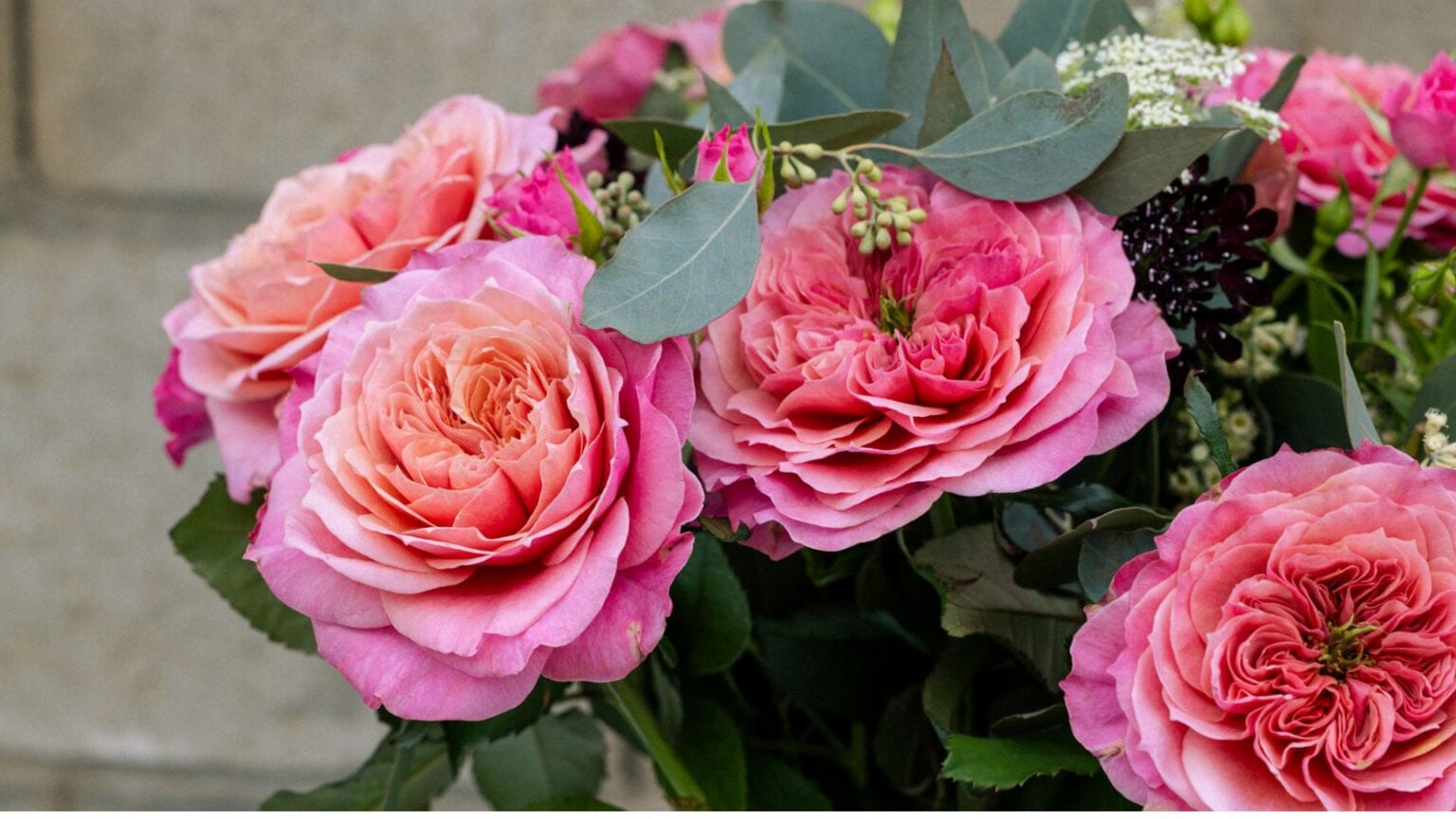 American Fresh Roses American Grown Flowers | USA Grown From American Farms
